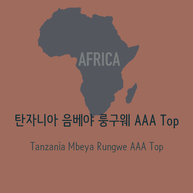 [생두]탄자니아 음베야 룽웨 AAA TOP Tanzania Rungwe AAA TOP_1Kg