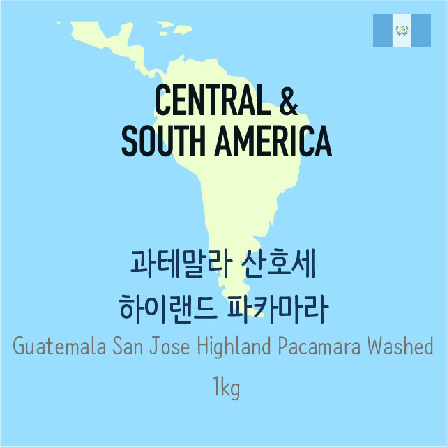 [뉴크롭][생두]과테말라 산 호세 오카냐 하이랜드 파카마라 (Guatemala San Jose Ocaña Highland Pacamara)_1kg